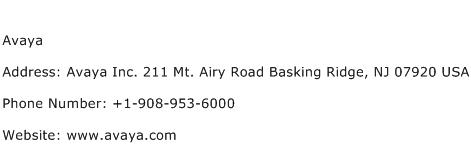 Avaya Address Contact Number