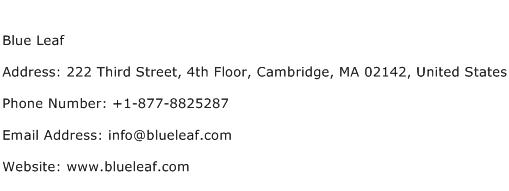 Blue Leaf Address Contact Number