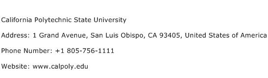 California Polytechnic State University Address Contact Number