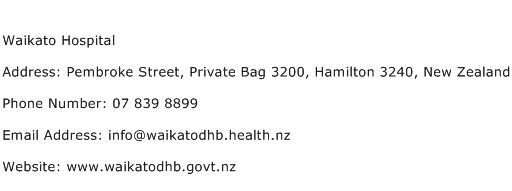 Waikato Hospital Address Contact Number